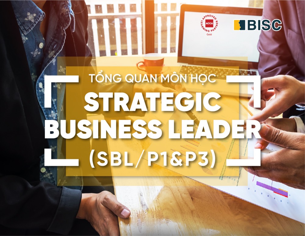 SBL - Lãnh đạo chiến lược kinh doanh (P1&P3)