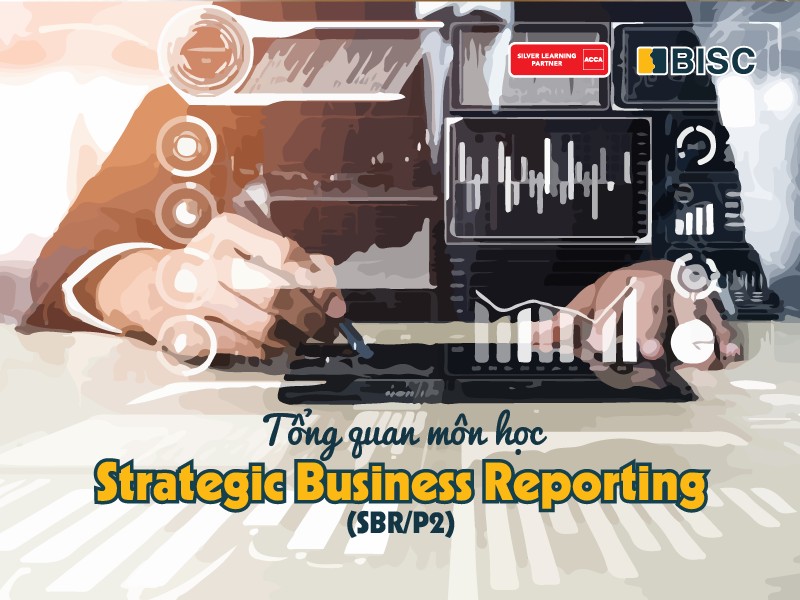 SBR - Báo cáo chiến lược doanh nghiệp (P2)
